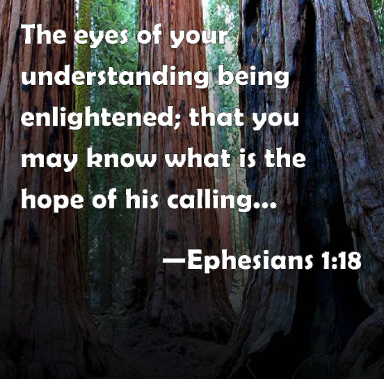 The Twenty-first Sunday After Pentecost